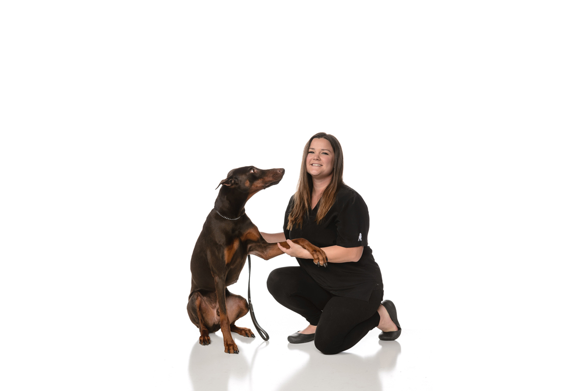 Pet Groomer