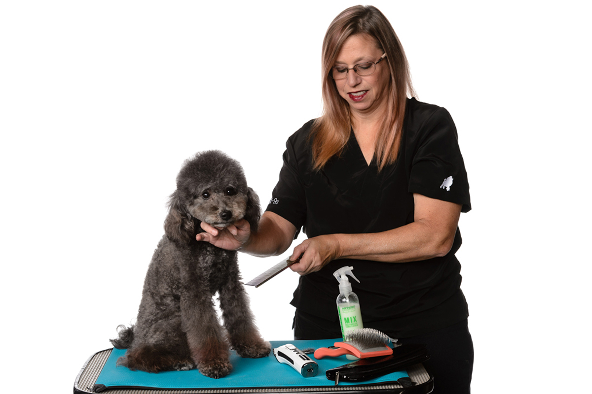 Pet Groomer