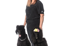 Pet Groomer