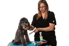 Pet Groomer